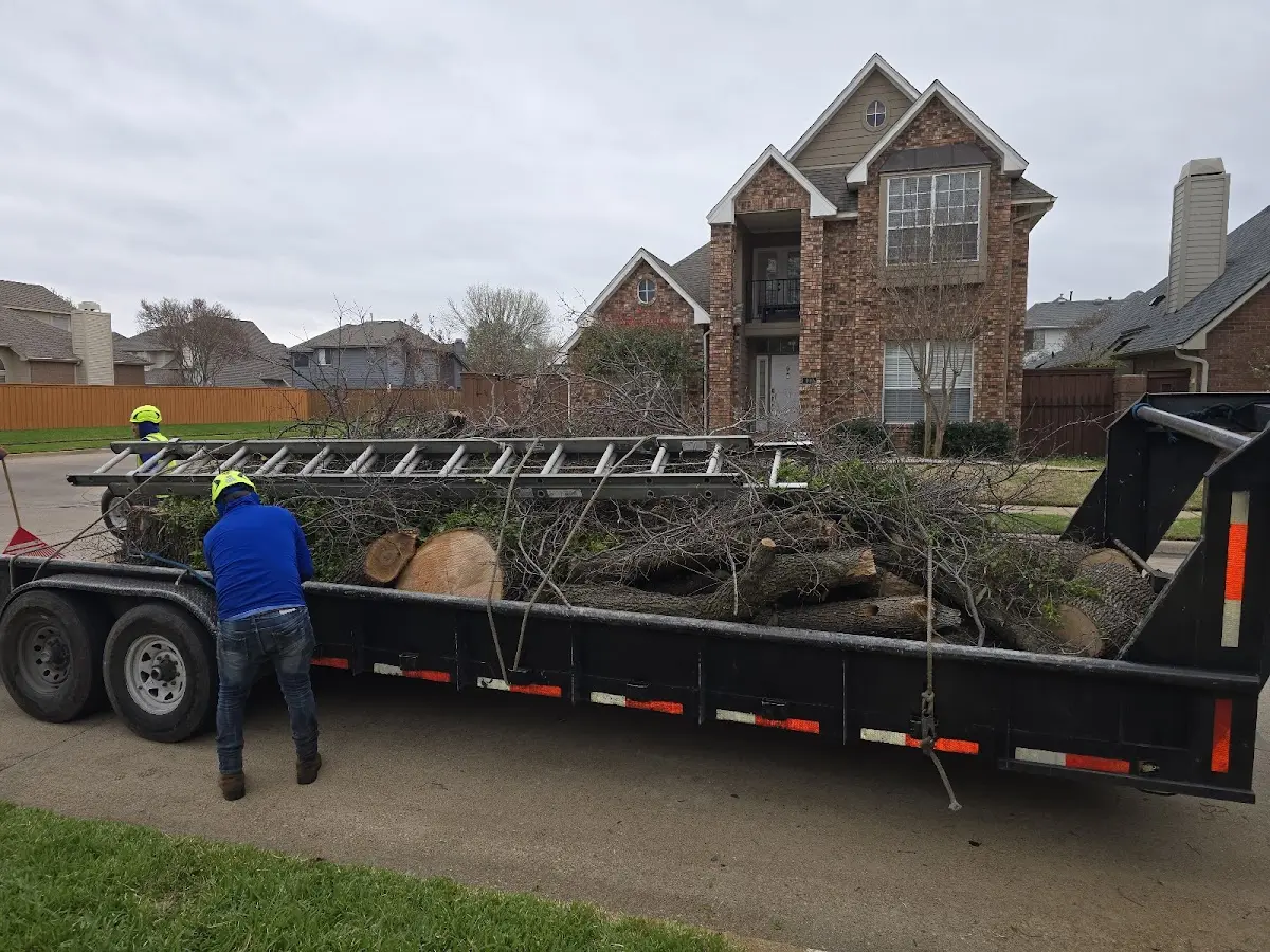 Expert Tree Removal with proper safety equipment in Huntley